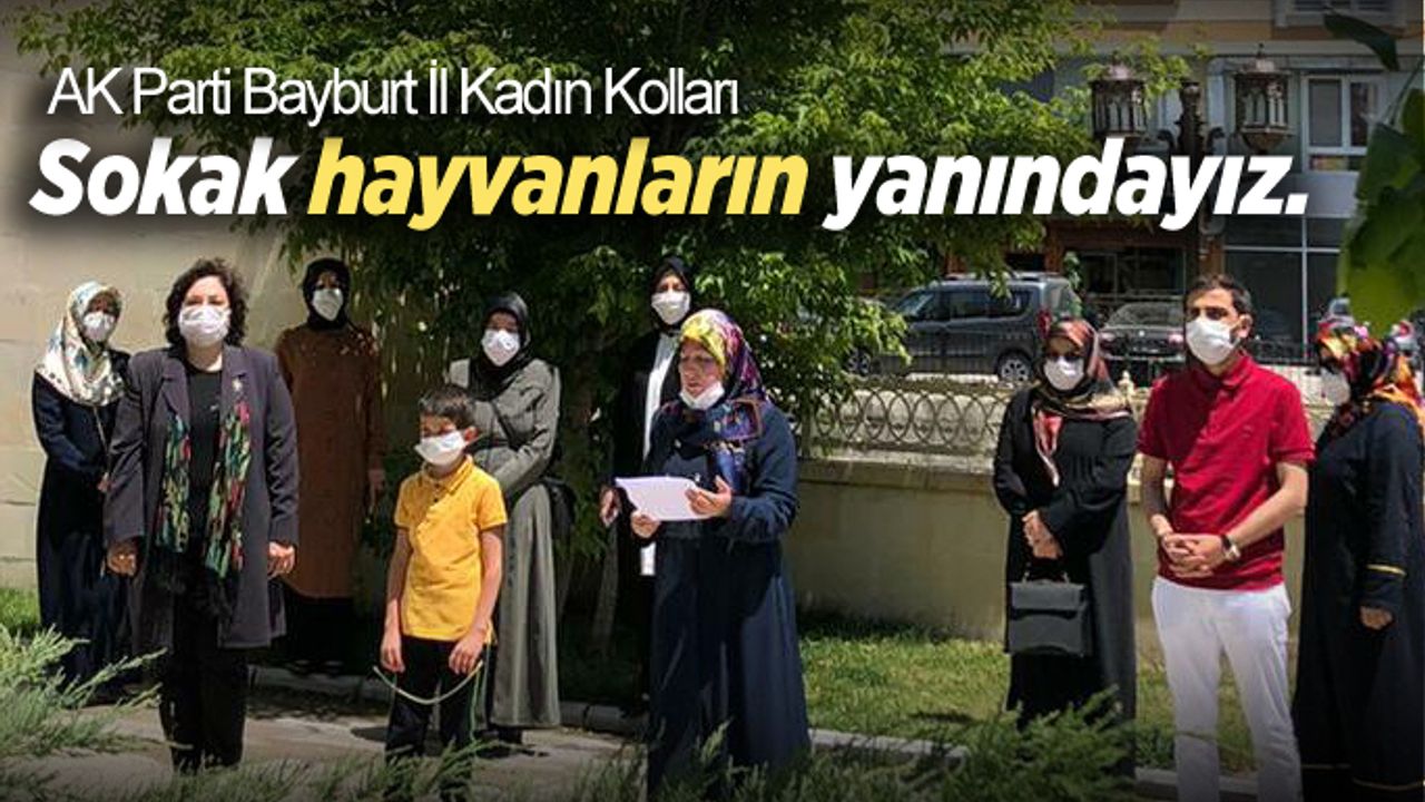 AK Parti Bayburt İl Kadın Kolları, Sokak hayvanlarına sahip çıktı.