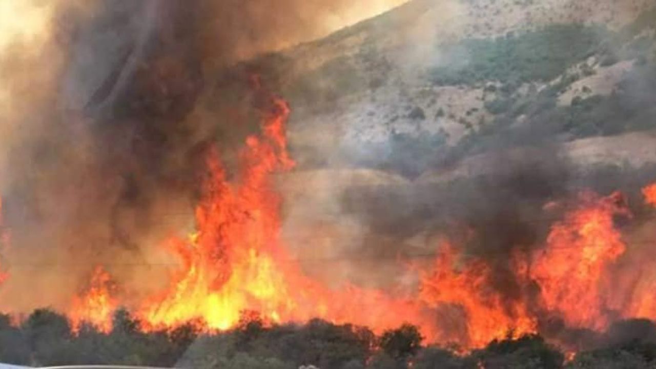 Hacıoğlu köyünde yangın,45 dekarlık alan yandı