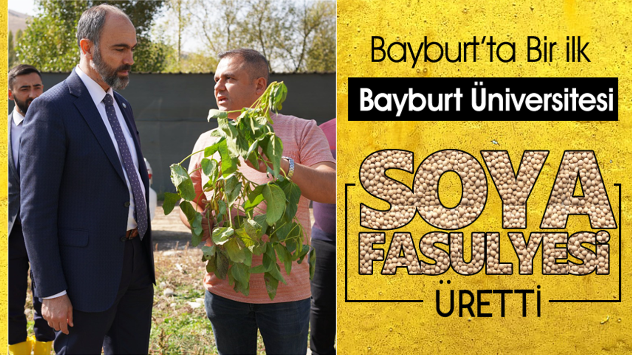 Bayburt Üniversitesi Soya fasulyesi Üretti