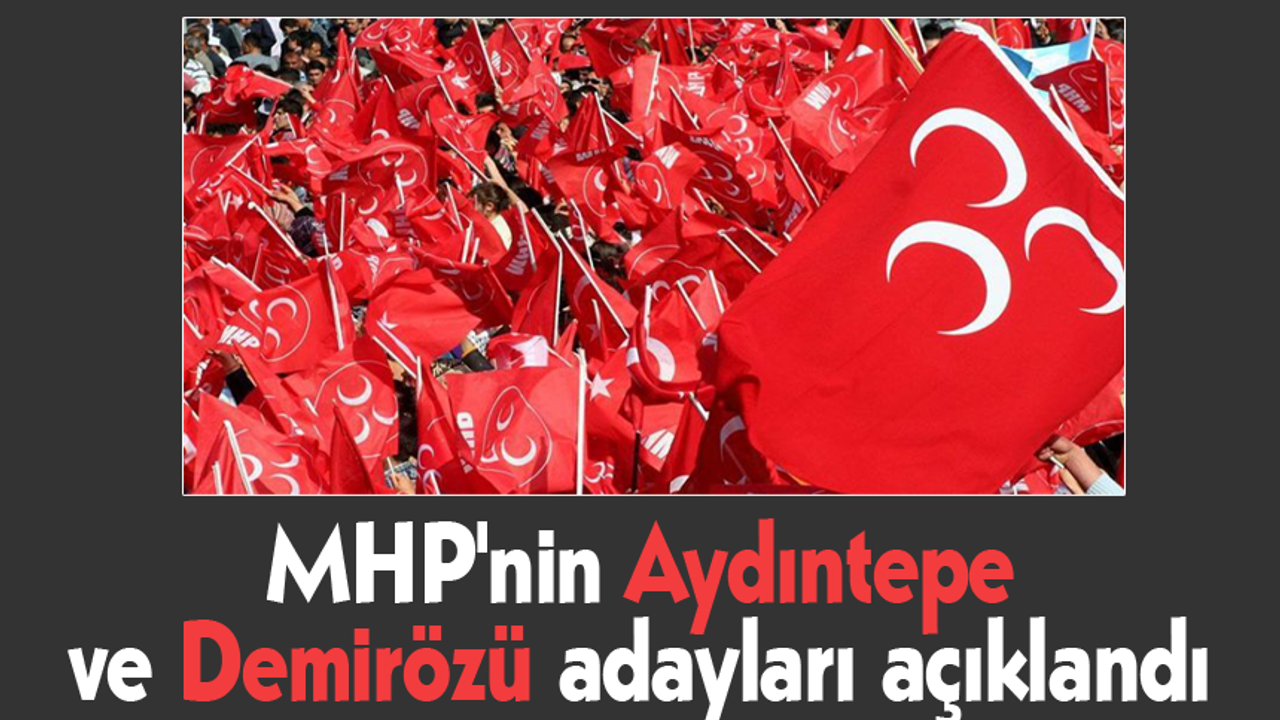 MHP'nin Aydıntepe ve Demirözü adayları açıklandı