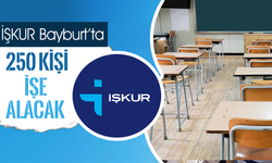 İŞ KUR 250 kişi işe alacak
