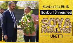 Bayburt Üniversitesi Soya fasulyesi Üretti