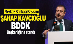 Merkez Bankası Başkanı  Kavcıoğlu,BDDK Başkanlığı’na atandı