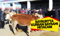 Bayburt'ta Kurban bayramı heyecanı