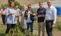 Bayburt Valisi Eldivan, Bayburt Üniversitesinin Bilimsel Tarım Uygulama Sahalarını Ziyaret Etti