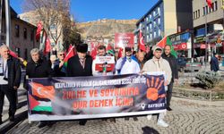 Bayburt'ta doktorlar "sessiz yürüyüş" ile İsrail'i protesto etti