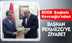 BDDK Başkanı Kavcıoğlu’ndan Başkan Pekmezci’ye ziyaret