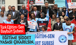 Türk Eğitim-Sen Bayburt Şubesi: "Eğitimde Şiddet Yasası Çıkarılsın!"