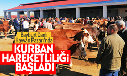 Bayburt Canlı Hayvan Pazarı'nda kurban hareketliliği başladı.