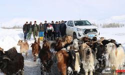 Kayıp 33 küçükbaş hayvan Beşpınar-Yazıbaşı arasında bulundu!