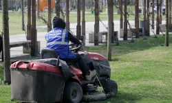 Sakarya'da Millet Bahçesi yaz sezonuna hazırlanıyor