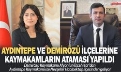 Aydıntepe ve Demirözü ilçelerine kaymakamların ataması yapıldı