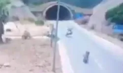 Antalya'da trajik kaza! Bakan Yerlikaya yine uyardı