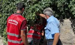Artuklu’da “Çöp Ev” temizlendi, mahalle rahat nefes aldı