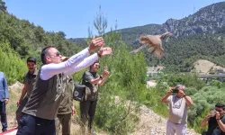 Bilecik’te 300 kınalı keklik doğaya salındı