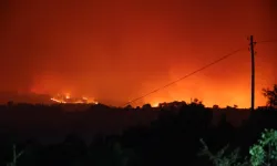 Bilecik’te korkutan orman yangını