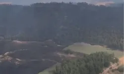 Bolu ve Bilecik’te yangınlar kontrol altında! Sakarya ve Manisa'dan sevindirici haberler bekleniyor