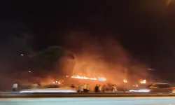 Bursa Mudanya Yolu'nda alevler yükseldi! Çağrışan'da yangın paniği!