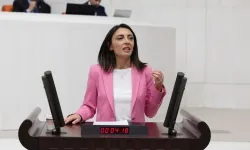 CHP’li Altaca Kayışoğlu’ndan TBMM'de sert eleştiri
