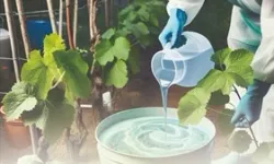 Denizli’de kırsal üretime güçlü destek paketi