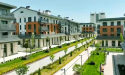 Deprem bölgesinde 250 bin yuvaya ulaşıldı