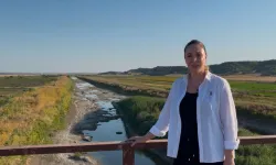 Edirne’de çeltik üreticileri alarm veriyor! Ergene Nehri kurudu, tarım tehdit altında