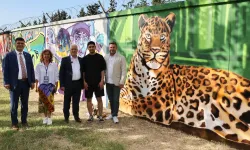 Gençler 'graffiti'leri ile Bursa'yı renklendirdi