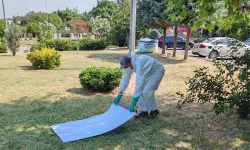 İstanbul Büyükşehir'den kene ile mücadele