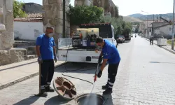 İzmir Efes Selçuk’ta kapsamlı ilaçlama seferberliği