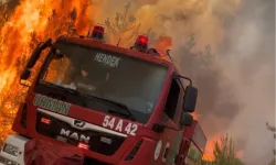 Jandarma’dan orman yangınlarına ilişkin soruşturma: 11 gözaltı!