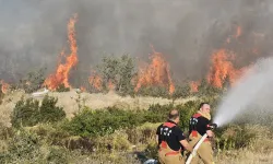 Manisa Büyükşehir Akhisar'daki yangın bölgesinde