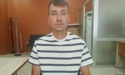 Mecidiye yangınında zarar tartışması! Ziraat Mühendisi Yılmaz: Gerçek zarar çok daha büyük