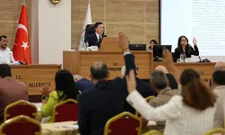 Muğla’da Gençlik Meclisi kuruluyor