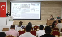Muğla’da yaban domuzları gündemde