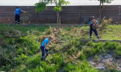 Sakarya'da 'Çark'ta hummalı temizlik