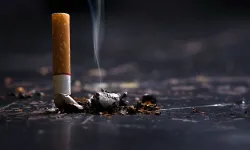 Yol kenarına atılan izmaritler yangına davetiye çıkarıyor