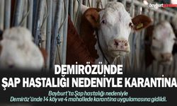 Demiröz’ünde Şap hastalığı nedeniyle karantina