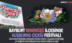 Bayburt Demirözü İlçesinde Kuşburnu çiçeği festivali
