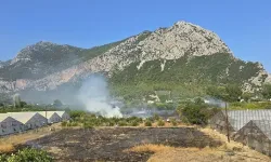 Antalya Kumluca'da çıkan yangına anında müdahale