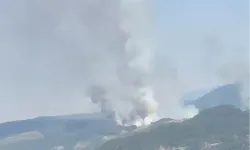 Balıkesir Sındırgı'da orman dışı alanda yangın!