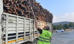 Bilecik Pazaryeri’nde orman emvali denetimi