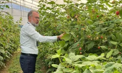 Bursa Kestel ve Gürsu’dan Sırbistan’a tarım çıkarması