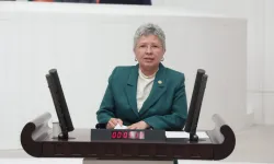 CHP’li Yontar: Zeytini kömüre feda etmek geleceğe ihanettir!