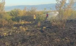 Düzce Konuralp’te örtü yangını kontrol altında