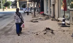 Edirne Keşan’da kaldırım için ağaç kesimine tepki!