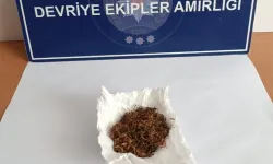 Edirne Keşan’da narkotik denetimi