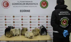 Gümrüklerde yılın ilk yarısında 35,5 milyar TL'lik kaçak eşya yakalandı... Gümrüklerde yakalamalar yüzde 199 arttı