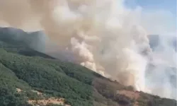 İzmir Bergama’daki yangın kontrol altında... Bilecik ve Sakarya’da müdahale sürüyor