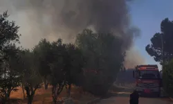 İzmir İtfaiyesi Çeşme Ildır için teyakkuza geçti