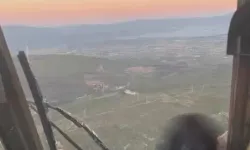 İzmir Urla’daki orman yangını kontrol altında